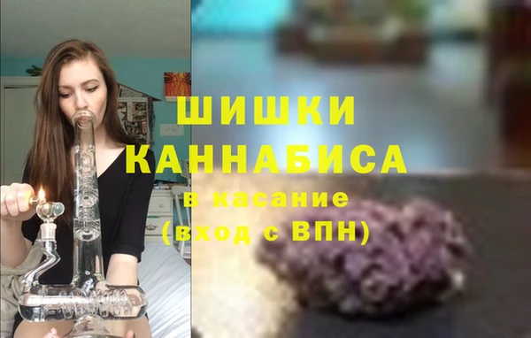 ГАЛЛЮЦИНОГЕННЫЕ ГРИБЫ Белокуриха