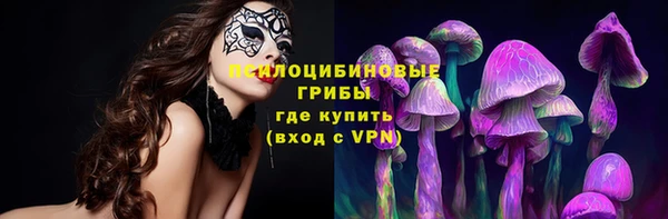 ГАЛЛЮЦИНОГЕННЫЕ ГРИБЫ Белокуриха