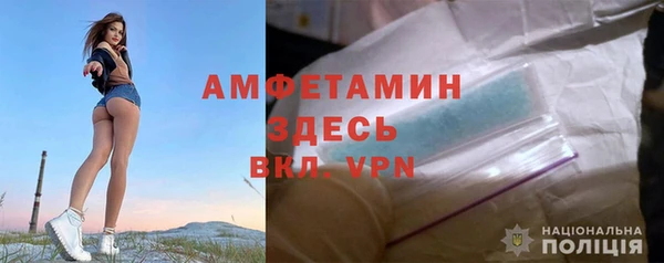 ГАЛЛЮЦИНОГЕННЫЕ ГРИБЫ Белокуриха