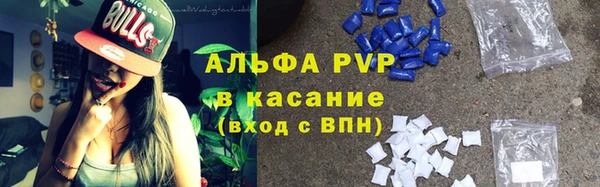 ГАЛЛЮЦИНОГЕННЫЕ ГРИБЫ Белокуриха